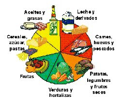 RUEDA DE ALIMENTOS