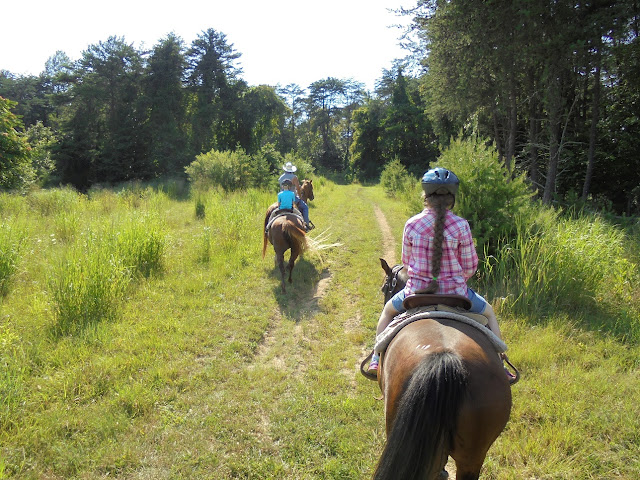 several people on a horses