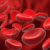 What is Coagulation of Blood or What is Blood Clot ?