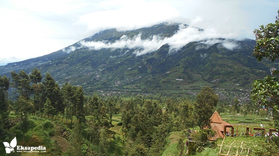 Menikmati Keindahan Gunung  Merbabu Dari Oemah Bamboe 