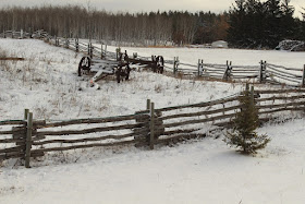 Rail Fence and Wagon Wheels in the snow