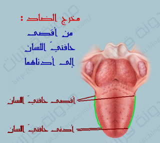 مخرج حرف الضاد