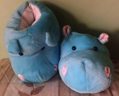 slipper hippo