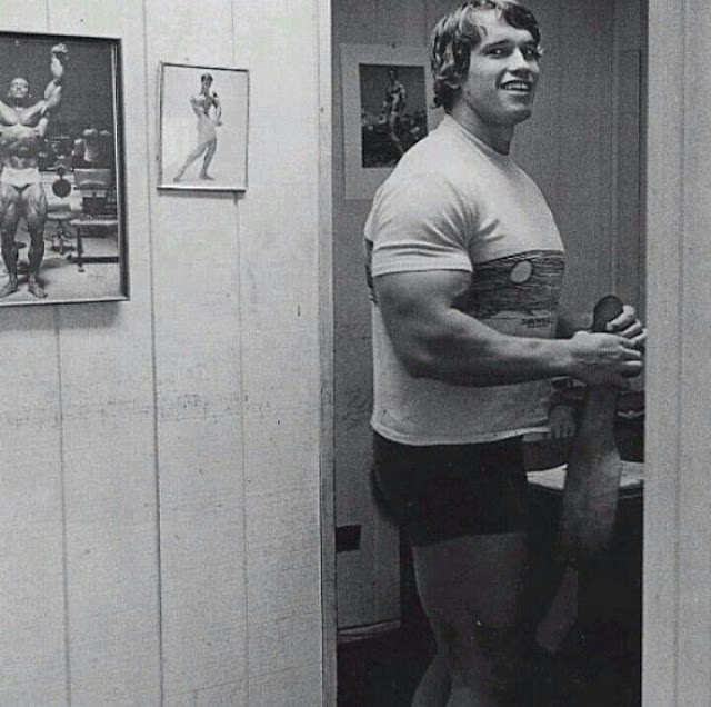 Arnold Schwarzenegger bulk fase