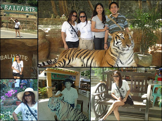 Baluarte, Ilocos Sur