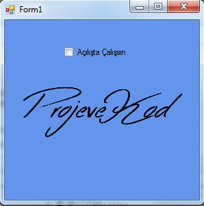 C# Program bilgisayar açılınca çalışsın