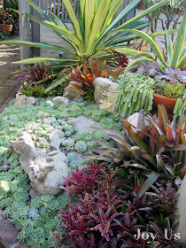 Sherman Garden Succulents