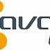 Avast Internet Security 2013 with License File & Valid Patch File