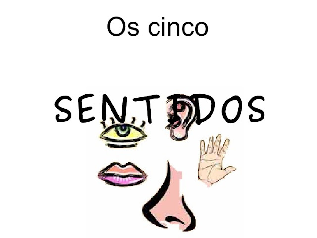 OS CINCO SENTIDOS