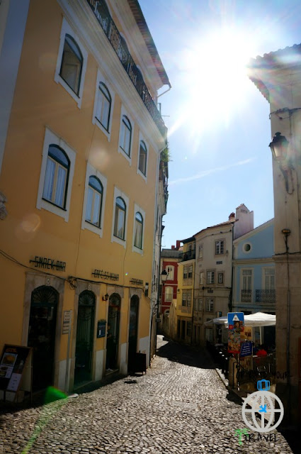 stara katedra coimbra