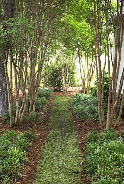 South Carolina Landscaping Ideas