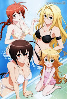 Download Sekirei: Pure Engagement