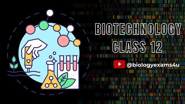 Class 12 Biotechnology