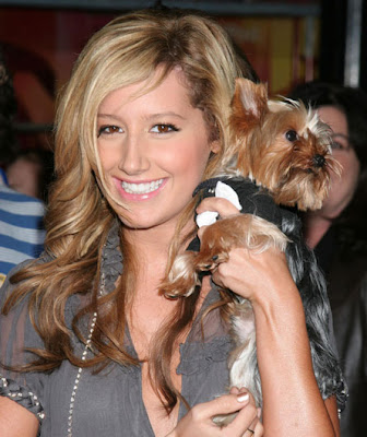 Ashley Tisdale Blonde Hairstyles 05