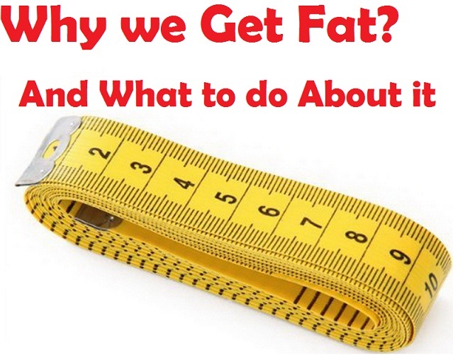 Why do we Get Fat?