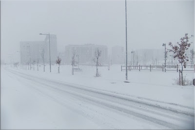 Gasteiz bajo el blanco manto de la nieve