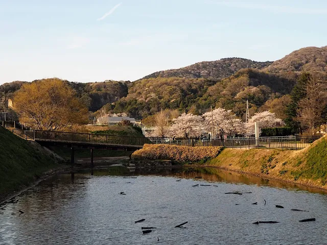 りんりんロード　小田城跡