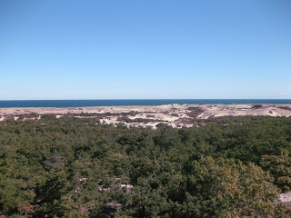 View Looking North from Province Lands Visitor Center