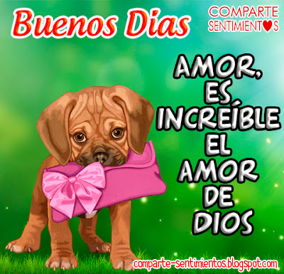 amor buen dia