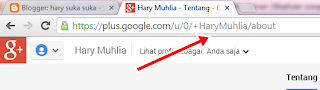 Cara Terbaru Merubah URL Google Plus