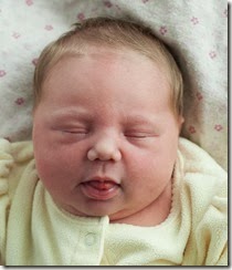 Elliot Adelaide Falkena