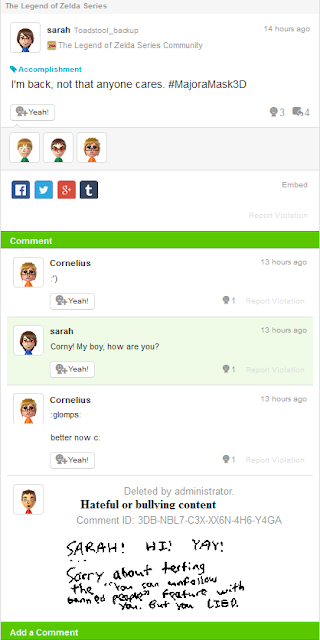 Miiverse violation calling someone a liar hateful bullying content