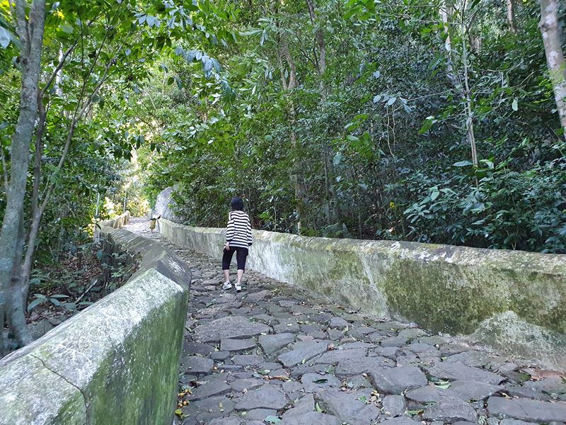 De carro, van ou caminhando pela ladeira da penitência