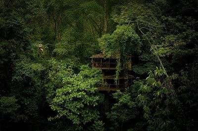 Finca Bellavista Treehouse Costa Rica