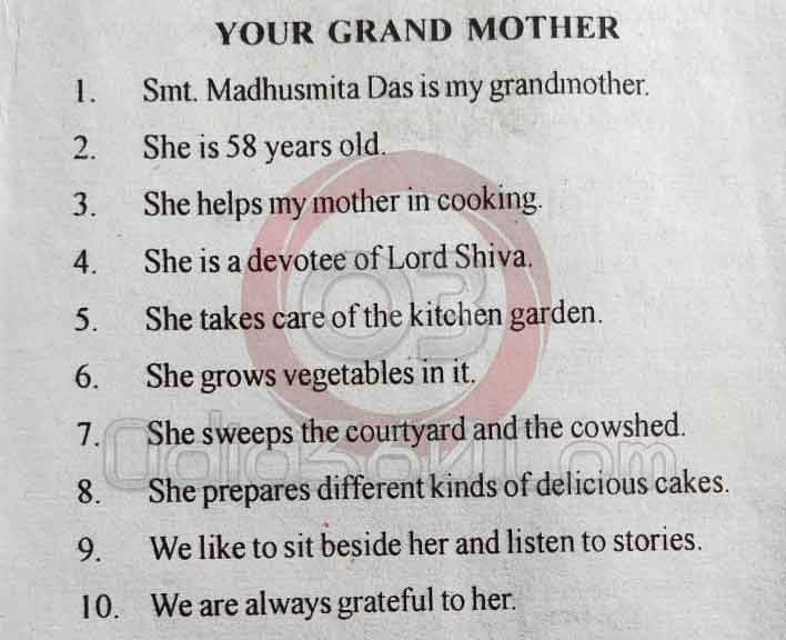 Your Grand Mother - 10 Lines Essay in English Language for Juniors