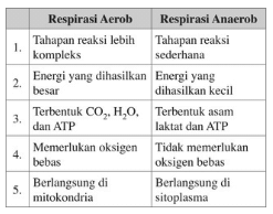 Soal Latihan PG Biologi Kelas 12 Terbaru dan Pembahasannya