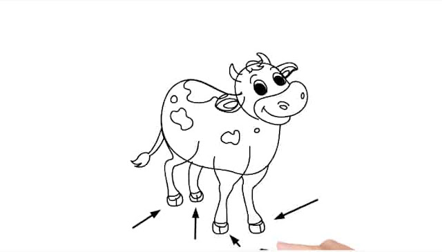 How to Draw a Cow Drawing.