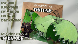 Gutasi dan Hidatoda