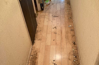Here is how one elderly person lives in Tokyo, a man in his late 70s