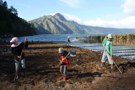 mount batur lake batur