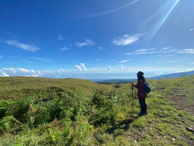 gunung rinjani jalur sembalun