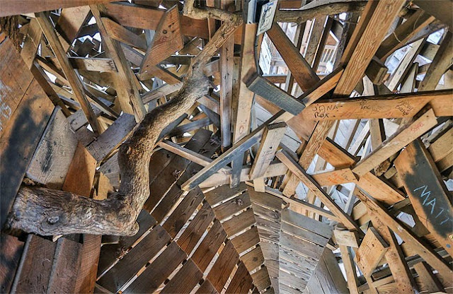 Dentro más grande Casa del Árbol del Mundo - EE.UU.