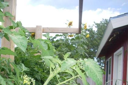 Raised Bed Gardening