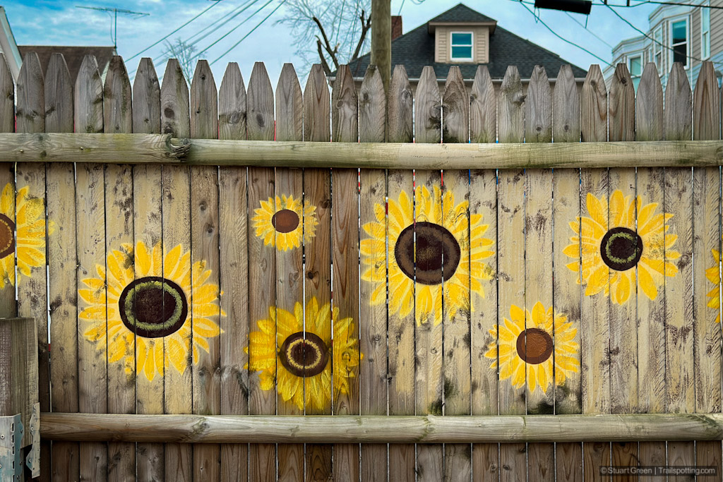 Sunflowers painted on a tall wooden fence.