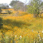 View album