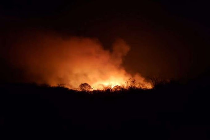 Incêndios atingem áreas de mata em Santa Quitéria e Ipueiras há três dias seguidos