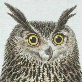 owl head