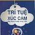 Trí tuệ xúc cảm - Ebook