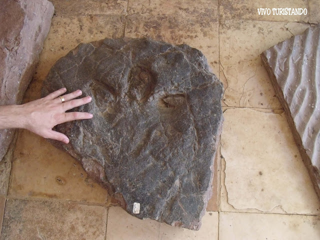 Sousa | Impressionantes pegadas pré-históricas no Vale dos Dinossauros