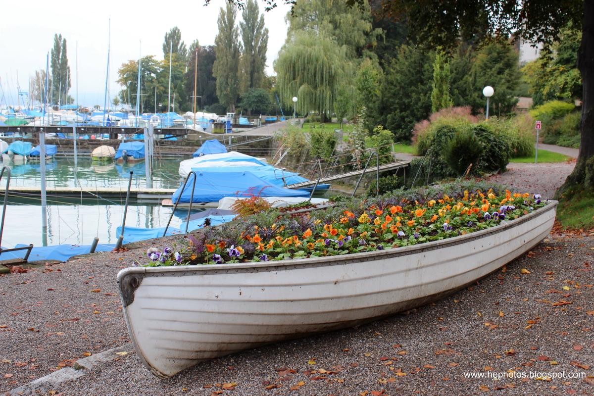 Another amateur photographer :): Boat planter
