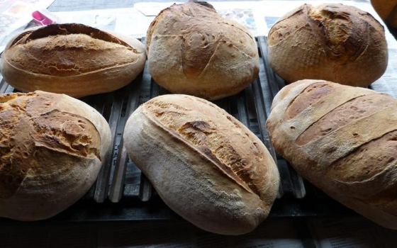 Pan en horno de leña