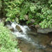 View album