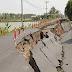 5.0-Magnitude Earthquake Hits Japan