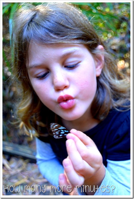 Cape Hillsborough NP | How Many More Minutes?