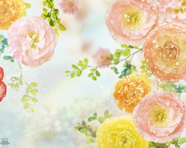 Flowers Wallpaper HD -03