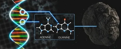 DNA em meteoritos